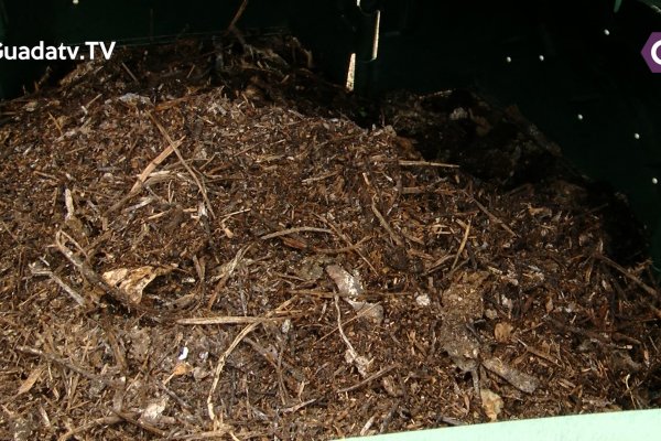 Los colegios de Marchamalo empiezan a generar "compost" como camino hacia una economía circular y sostenible.