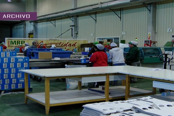 Las empresas disponen de 3 meses para aplicar un plan de igualdad en sus centros de trabajo