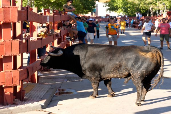 Un herido por arma blanca y otro por asta de toro, los sucesos de las Fiestas de Azuqueca