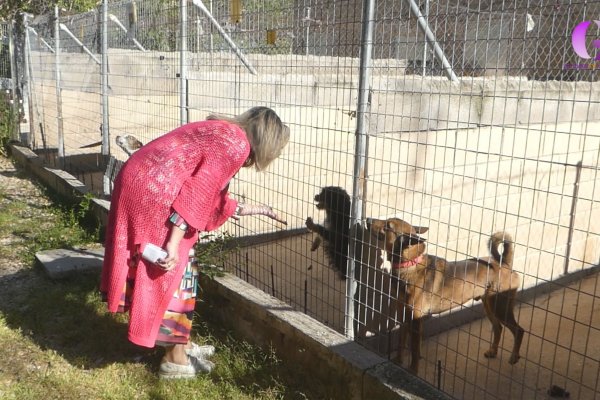El Centro de Acogida de Animales mejora sus instalaciones 