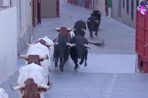 La tarde con Cristina os ofrece el primer encierro de estas Ferias y Fiestas de Guadalajara
