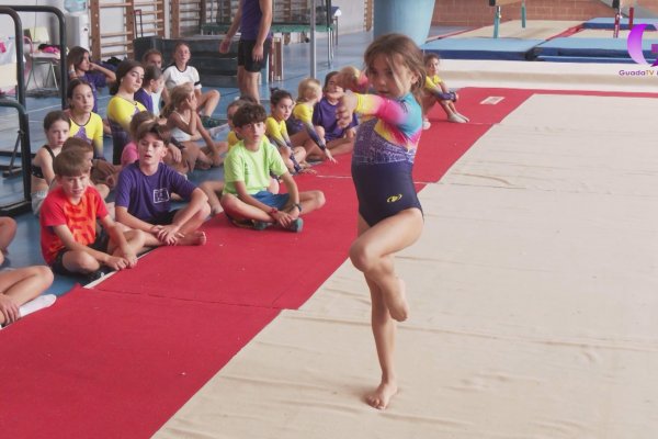 Deporte Base, Gimnasia artística