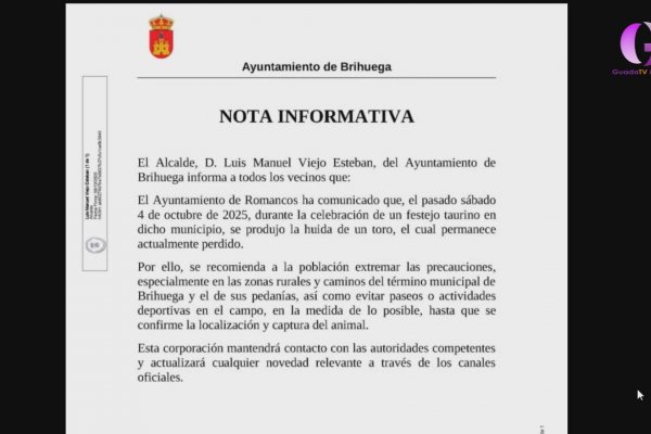 Ojo, se busca a un toro tras el encierro de Romancos 