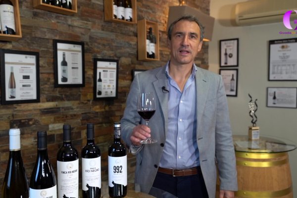 Alimentos de calidad de Castilla-La Mancha: Vino