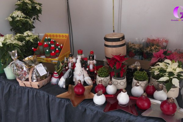 Ya pueden disfrutar del Mercado de Producto Navideño en Santo Domingo