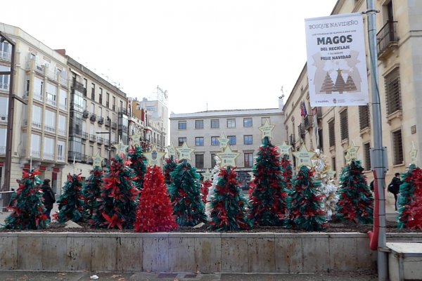 Esta mañana alumnos de 12 colegios de Guadalajara han inaugurado el Bosque Navideño hecho con materiales reciclados