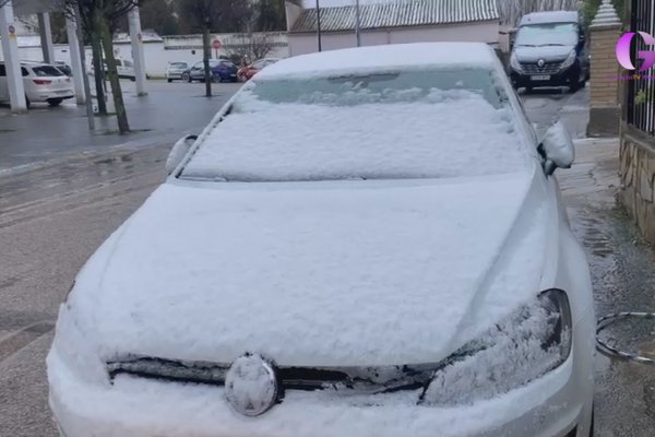 Normalidad en las carreteras 