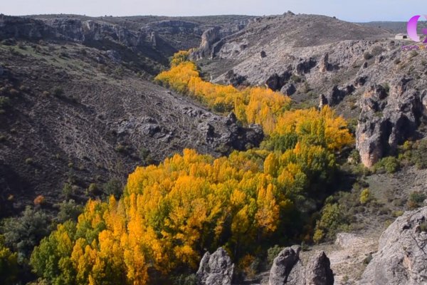ABRIL determinará nuestra candidatura a PATRIMONIO POR LA UNESCO 