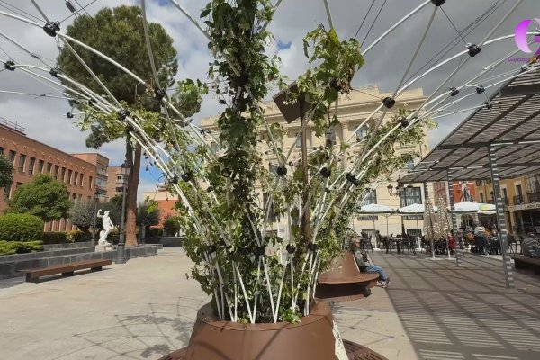 ¿Qué son las "coloras bioclimáticas"? 