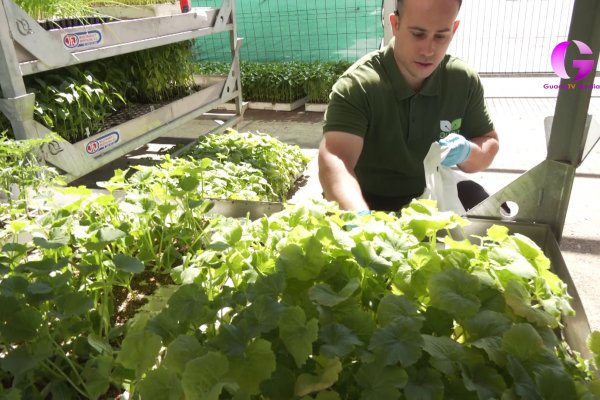 ✅En APAG mostramos la Planta de Huerto