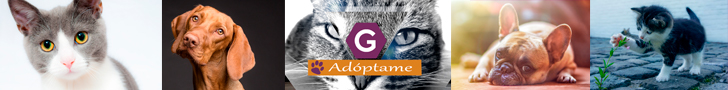 ADÓPTAME