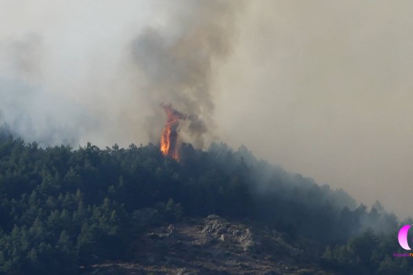 El incendio del Pico del Lobo no hubiera pasado de conato si todavía hubiera los rebaños que había hace años