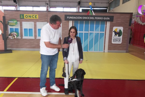 Hoy en la tarde con Cristina la ONCE nos enseña a sus perros guía