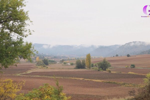 Localizado y abatido el toro que desapareció el pasado sábado en Romancos