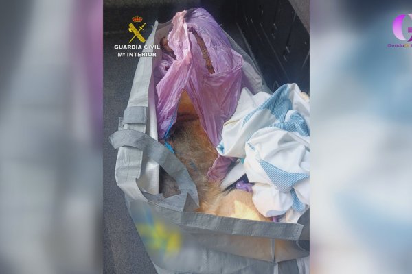 El Seprona investiga a dos personas por maltrato animal