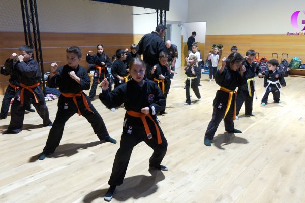 Deporte base, kajukenbo