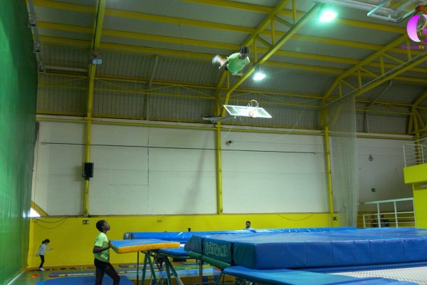Deporte base, gimnasia de trampolín