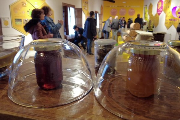 Alimentos de calidad de Castilla-La Mancha: miel