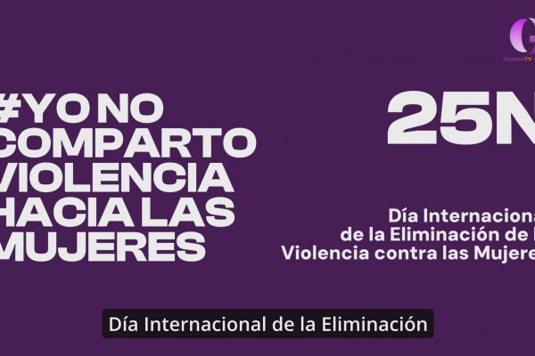 Simon llama la atención sobre la violencia digital hacia las mujeres 