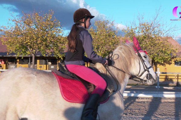 Deporte Base. Hípica