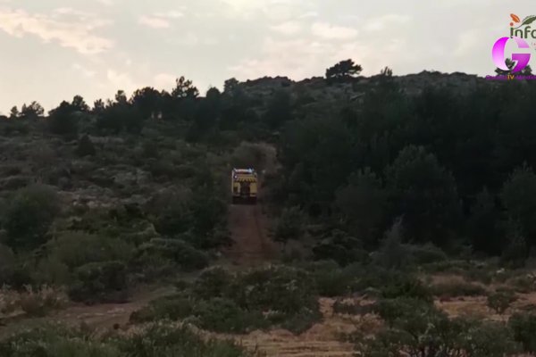 30.000 para el arreglo de caminos y viales de El Cardoso de la Sierra afectados por el incendio de la Sierra de Tamajón