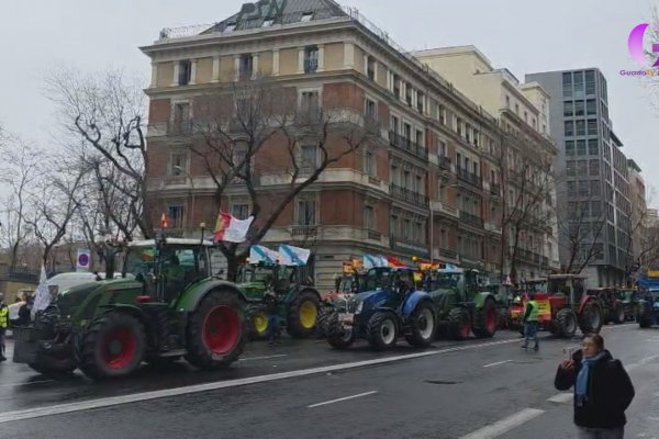 Los agricultores vuelven a protestar en Madrid contra  Mercosur y los recortes de la PAC