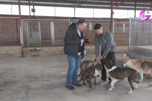 Hoy en La Tarde con Cristina conocemos Hogar Amigo