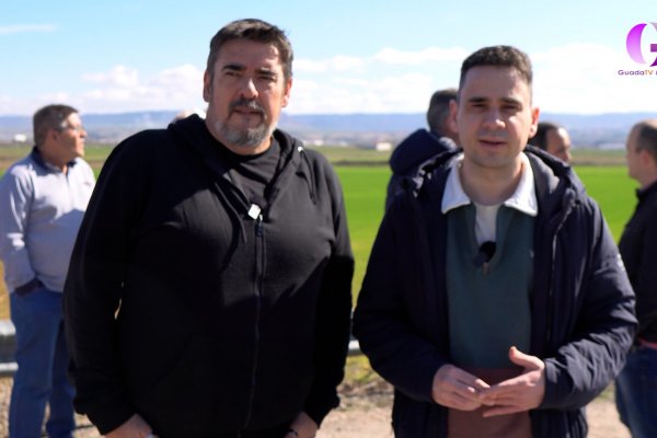 A la caza del conejo en Cabanillas y Marchamalo