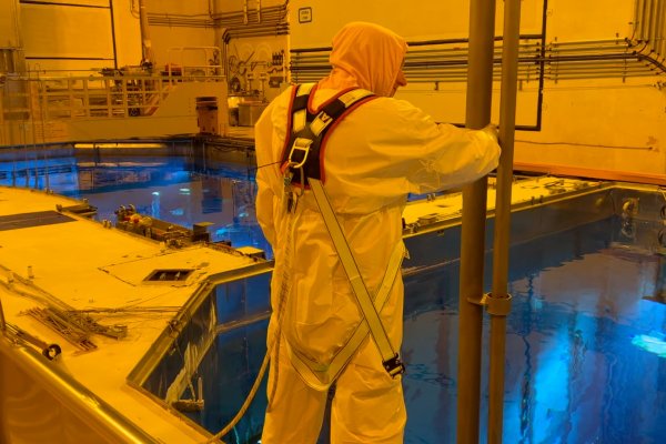 Trillo seria vital para recuperar la energía en caso de apagón