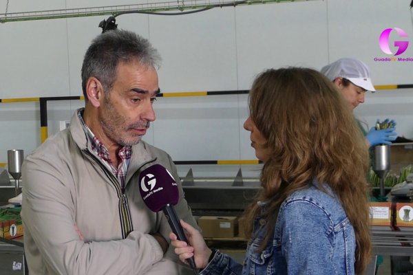 Conocemos el espárrago verde de APAG