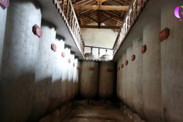 Aprobado el anteproyecto del nuevo CIT