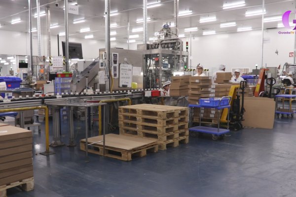 Visita a un REFERENTE