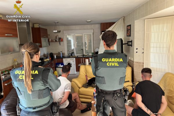Desmantelada una plantación de marihuana INDOOR en Uceda