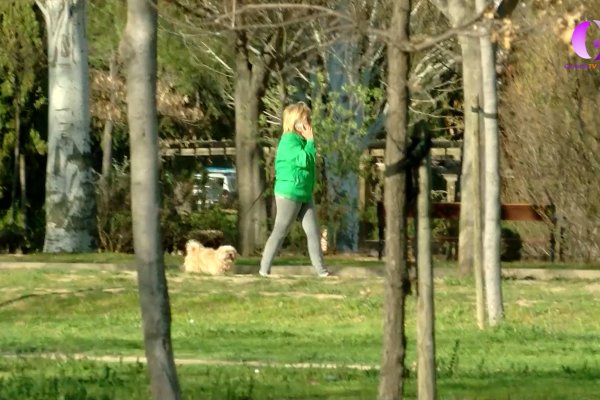 Campaña para limpieza de los orines de los perros en la vía pública