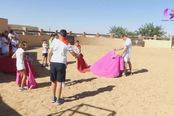 Un campamento diferente en Ciruelas