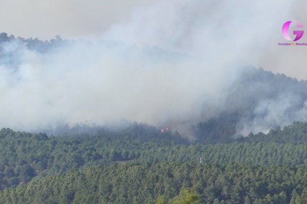 Fuego en Guadalajara