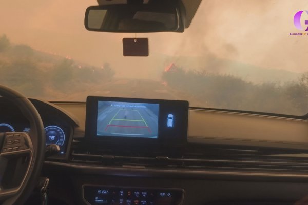 Ya son 29.000 hectáreas arrasadas por el fuego