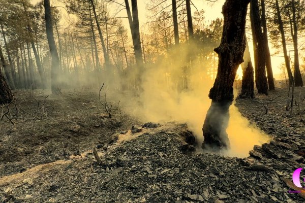 GuadaTV Media llega a la cabecera del incendio de la Sierra Norte