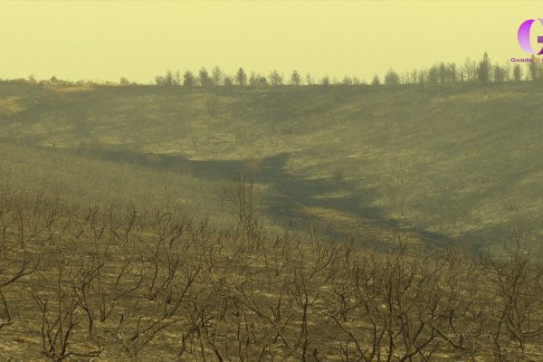 Una semana del incendio de la Sierra Norte