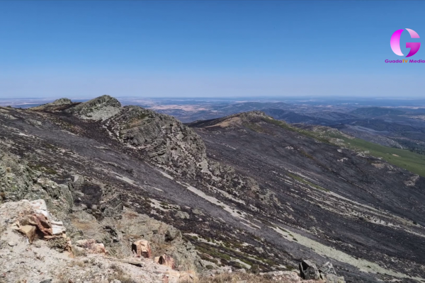 Así ha quedado la Sierra Norte de Guadalajara