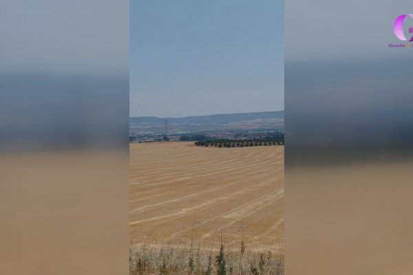 El Ayuntamiento de Villanueva ha hecho publica la aprobación del nuevo polígono industrial del municipio que traerá crecimiento y nuevos puestos de trabajo