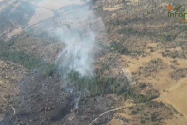 EL incendio declarado ayer en Riofrío ya se encuentra en Nivel 0 |GuadaTV Media