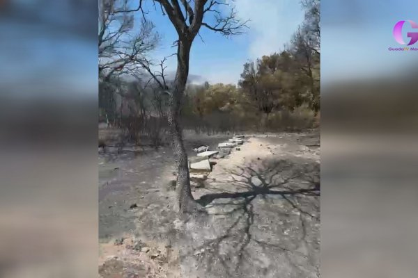 Ayudas a los apicultores afectados por el incendio de la Sierra Norte
