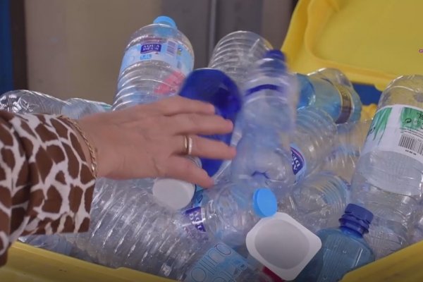 220 municipios se benefician del Programa Estival de Educación Ambiental