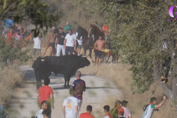 Así fue el Encierro de Brihuega