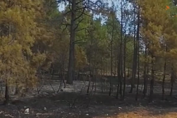 Extinguido el incendio del Recuenco