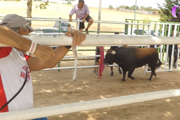 Terminado el segundo encierro de Marchamalo