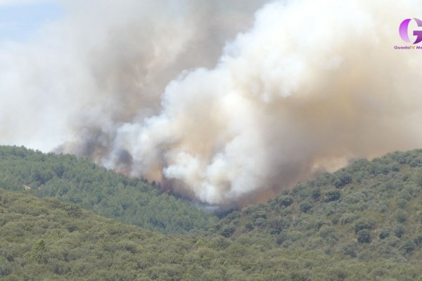 Publicado el ámbito del Plan de Recuperación de la Sierra Norte tras el incendio La Mierla
