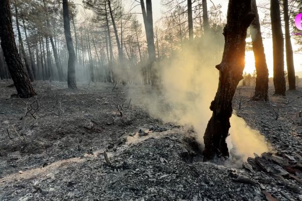 Extinguido el incendio de La Mierla tras 51 días activo 