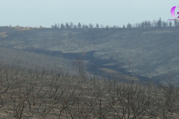 Ayudas para restaruar tras el incendio de La Mierla